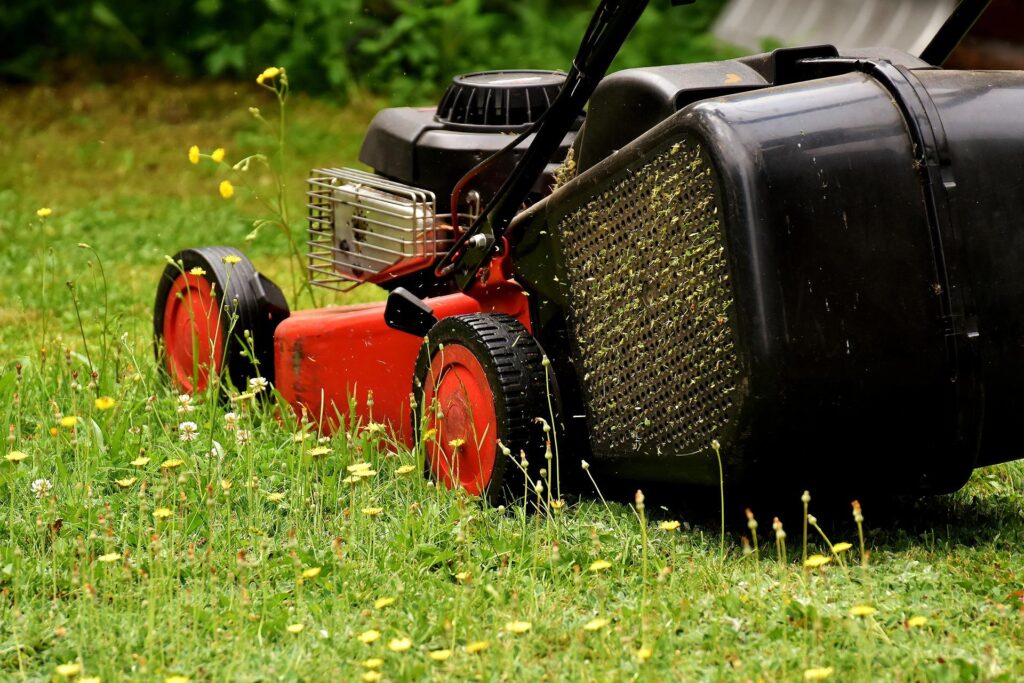 Lanark Garden Services